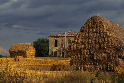 Hayhouses
