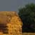 Hayhouses