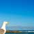 Agadir_03.22.06