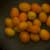 20_Kumquats