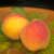 Baby_Loved_Apricots