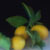 Julie_Grows_Meyer_Lemons