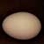 The_Egg