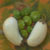 White_Eggplants